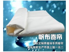 夏天臺風(fēng)炎熱季節(jié)，豬只養(yǎng)殖通拓推